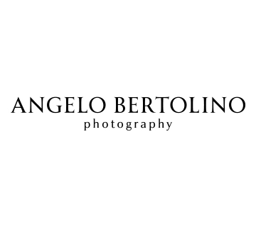 bertolino-logo.jpg